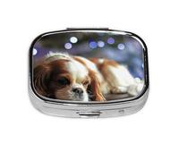 Pilulier Cavalier King Charles Spaniel Petit épagneul Meta Pilulier 2 compartiments Organiseur portable