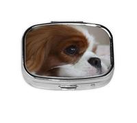Pilulier Cavalier King Charles Spaniel Pets Chiots Meta Pilulier 2 compartiments Organiseur portable