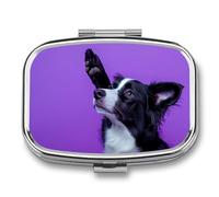 Pilulier de salut pour chien à 2 compartiments - Portable - Pilulier de voyage pour sac à main