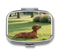 Pilulier de voyage à 2 compartiments pour chien teckel avec miroir, étanche, 2 fois par jour, récipient portable pour sac à main et poche rectangulaire argenté