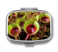 Pilulier de voyage carnivore à 2 compartiments - Mini organisateur de médicaments pour poche - En métal étanche - Pour médicaments, vitamines et huiles de poisson