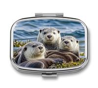 Pilulier de voyage familial Sea Otter - Pilulier quotidien pour compléments alimentaires - 2 compartiments - Pratique pour transporter et ranger des médicaments