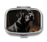 Pilulier de voyage Labrador noir - Pilulier quotidien pour compléments alimentaires - 2 compartiments - Pratique pour transporter et ranger des médicaments