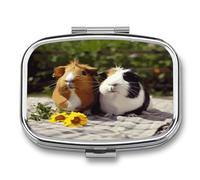 Pilulier de voyage mignon cochon d'Inde imprimé drôle petite boîte à pilules portable porte-vitamines organisateur pour un usage quotidien et voyage