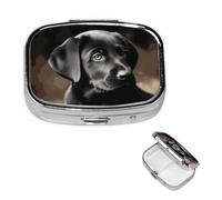 Pilulier labrador noir à 2 compartiments, petit pilulier pour sac à main et poche, pilulier en métal avec miroir, pilulier de voyage quotidien, support de vitamines portable pour médicaments et
