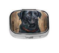 Pilulier Labrador noir, boîte à pilules à 2 compartiments, organiseur portable