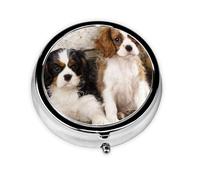 Pilulier méta à 3 compartiments pour petits chiots Cavalier King Charles Spaniel, organiseur portable
