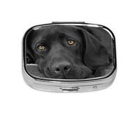 Pilulier noir Labrador avec 2 compartiments pour chien et chiot