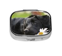 Pilulier noir labrador camomille noir retriever, meta pilulier 2 compartiments organiseur portable