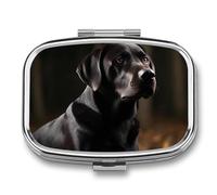 Pilulier noir labrador portable à 2 compartiments pour le quotidien, organiseur de pilules carré pour poche, sac à main, récipient à médicaments quotidiens pour contenir des vitamines, de l'huile de