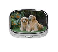Pilulier portable Golden Retriever - 2 compartiments - Joli pilulier de voyage quotidien - Petit organiseur de médicaments carré pour sac à main et poche