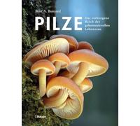 Pilze: Das verborgene Reich der geheimnisvollen Lebewesen