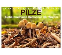 Pilze - Geheimnisvolle Herrscher der Wälder (Tischkalender 2026 DIN A5 quer), CALVENDO Monatskalender: Ein Streifzug durch die mystische Welt der Pilze.
