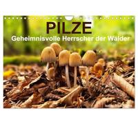 Pilze - Geheimnisvolle Herrscher der Wälder (Wandkalender 2026 DIN A4 quer), CALVENDO Monatskalender: Ein Streifzug durch die mystische Welt der Pilze.