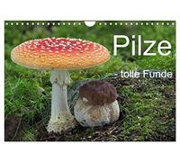 Pilze - tolle Funde (Wandkalender 2027 DIN A4 quer), CALVENDO Monatskalender: Ein Kaleidoskop außergewöhnlicher Pilzfunde.