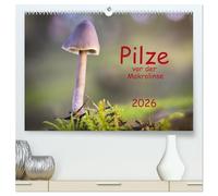 Pilze vor der Makrolinse 2026 (hochwertiger Premium Wandkalender 2026 DIN A2 quer), Kunstdruck in Hochglanz: Fotos von Pilzen verschiedenster Größe und Farbe.