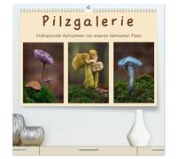 Pilzgalerie - Eindrucksvolle Aufnahmen von unseren heimischen Pilzen (hochwertiger Premium Wandkalender 2026 DIN A2 quer), Kunstdruck in Hochglanz: ... Pilzaufnahmen wie man sie nur selten sieht