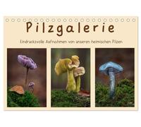 Pilzgalerie - Eindrucksvolle Aufnahmen von unseren heimischen Pilzen (Tischkalender 2026 DIN A5 quer), CALVENDO Monatskalender: Einzigartige Pilzaufnahmen wie man sie nur selten sieht
