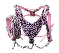 Pimaodog Breed - Lot de 3 harnais, collier et laisses en cuir à pointes cloutées pour chiens de taille moyenne et grande - Pit Bull,Mastiff, Boxer, Bull Terrier (clous léopard, L)