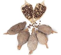 Piment Alligator Entier Lot de 6 - Piment de Guinée - Graines de Paradis Naturelles - Maniguette Séchée Origine Bénin - Épice Africaine Authentique - 100% Pur & Non Traité