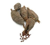 Piment de Guinée en gousses - Poivre de Guinée - À l’unité - Épice africaine rare pour sauces, soupes, infusions et plats traditionnels