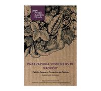 Piment vert doux 'Pimientos de Padron' (Capsicum annuum) env. 10 semences