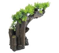 Pin, aquariums, sapins, paysages vivants et naturels, décoration naturelle pour créer des habitats, décorations de plantes sous-marines