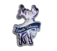 HARRY POTTER-EXPECTO PATRONUM-PINS EN EMAIL