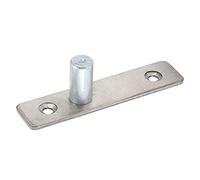 Pin de porte en acier inoxydable épingle à charnière lourde pour les fournitures de quincaillerie de porte en verre à la maison