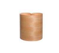PIN PLACNOR 0.50 M X 2.50 ML FR