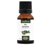Pin Sylvestre BIO - 15mL - (Pinus Sylvestris) - Macérat concentré de bourgeons frais