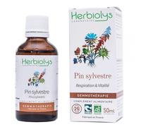 Pin Sylvestre Macérât De Bourgeon Bio - Respiration Et Vitalité 50 Ml - Herbiolys