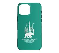 Pin Trees on A Bear Vintage Blackwater Falls West Virginia Coque pour iPhone 16 Pro Max