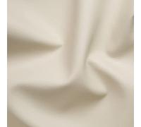 PINaPIN Tissu pour Tapisser au Metre - Tissus pour Chaises, Sofas, Simili Cuir au Mètre 100 x 140 cm - Housses pour Meubles, Revêtements de Meubles, Fauteuils, Accessoires (Beige Clair)