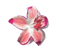 Pince à cheveux à fleurs permanentes, matériau polystyrène non nocif, outil de mise en forme flexible pour les femmes et les femmes qui portent constamment un accessoire de cheveux à fleurs polyvalent