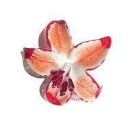 Pince à cheveux à fleurs permanentes, matériau polystyrène non nocif, outil de mise en forme flexible pour les femmes et les femmes qui portent constamment un accessoire de cheveux à fleurs polyvalent