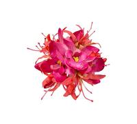 Pince à cheveux créative en forme de fleur pour femmes et filles, accessoires à cheveux pour ajouter de l'élégance à n'importe quelle coiffure, coiffe tendance pour femme