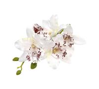 Pince à cheveux cymbidium délicate tendance pour la plage - Jolie décoration de cheveux - Barrettes de plage - Outil de coiffure