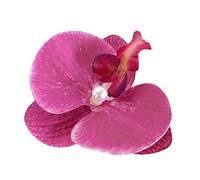 Pince à cheveux élégante en forme de fleur en acrylique pour mariages et fêtes