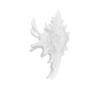 Pince à cheveux en acrylique en forme de conque pour femme - Épingles à cheveux pratiques pour des coiffures volumineuses - Prise en main sûre lors d'événements sociaux - Pince à cheveux quotidienne