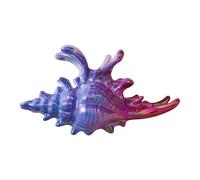 Pince À Cheveux En Forme De Conque En Acrylique Vibrant Fermoir Robuste Pour Femmes Plusieurs Nuances Disponibles Bijoux À La Mode