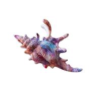 Pince à cheveux en forme de conque - Fermoir sécurisé en acrylique - Accessoire pour les fêtes, les entraînements, les événements - Pour le sport