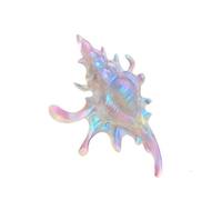 Pince à cheveux en forme de conque pour femme et fille - En alliage - Accessoire de cheveux pour une utilisation quotidienne