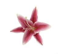Pince à cheveux en forme de fleur de lys 3D pour femme, accessoire de style compact pour un usage quotidien, les fêtes, les jeux de rôle, demi-chignons, tresses (violet)