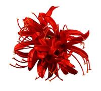 Pince à cheveux en soie faite à la main avec vieux glands chinois antique costume Barrette de cheveux pour mariage douche nuptiale usure équinoxe cheveux fleur clip