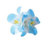 Pince à cheveux fleur de pivoine for femmes, accessoires de chapeau de paille, émulation de vacances à la plage, Barrettes de cheveux for filles, bandeau(Color 15)