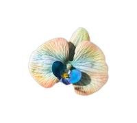 Pince à cheveux papillon réaliste avec design 3D pour femmes et filles qui sont idéales pour les fêtes et les événements spéciaux