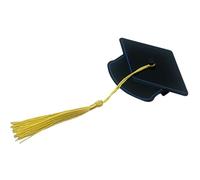 Pince à cheveux pour toque de graduation - Mignonne mini pince à cheveux stable avec gland,Accessoires de fête de fin d'études - pour Cérémonie de Graduation, Femmes, Médecin, Plage, Vacances, Fêtes,