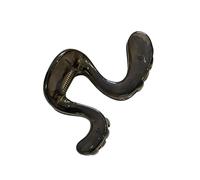 Pince à griffes pour de cheval, coque, Transparent black | Dents intérieures, charnière à ressort, maintien bien rangé pour les déplacements, les voyages, l ' école, les