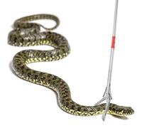 Pince à serpents pliable en acier inoxydable pour randonneurs, jardiniers, propriétaires de ranchs et pour camping, randonnée, pique-nique